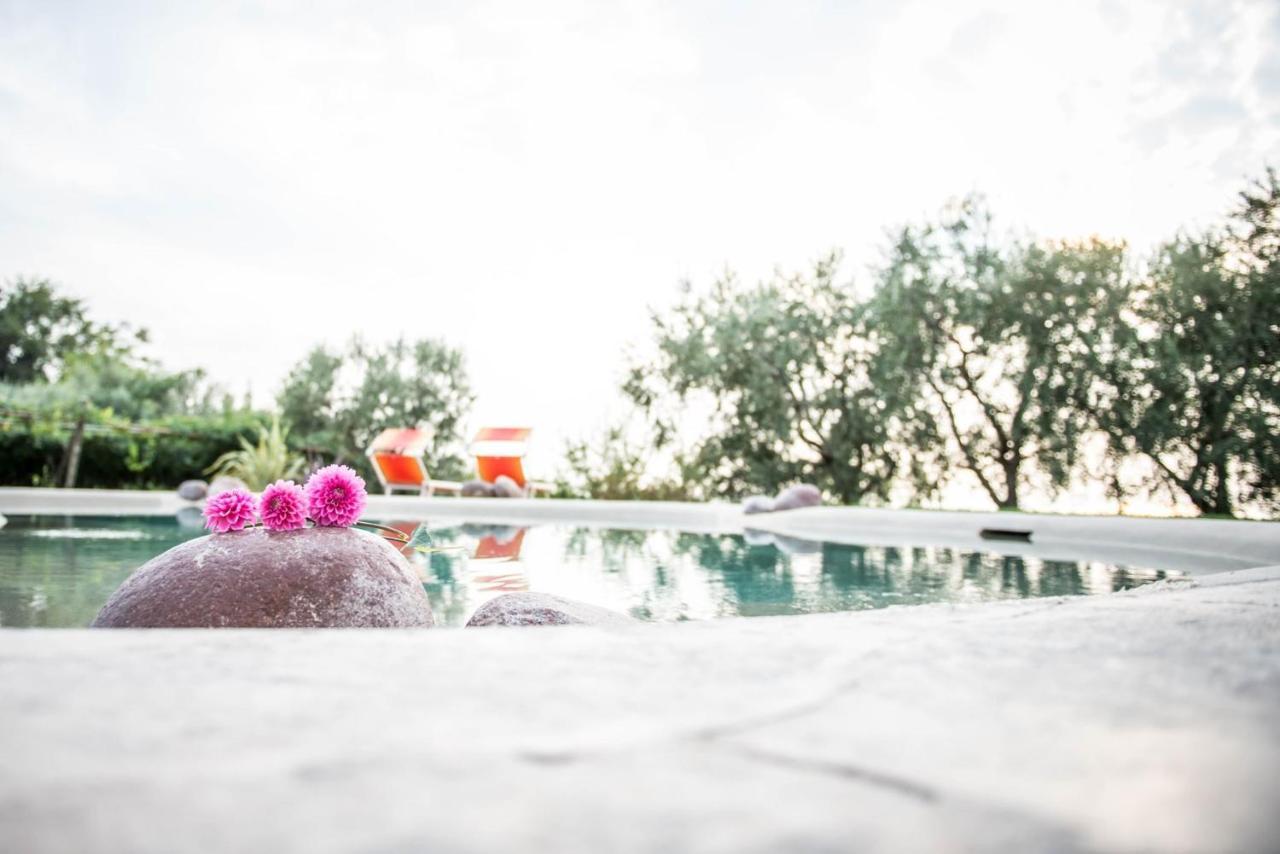 Agriturismo Il Grappolo Lazise Exterior photo